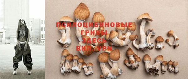 кокс Зерноград