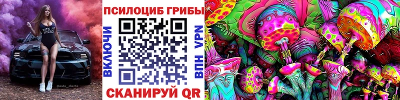 Купить  Качканар  Псилоцибиновые грибы Magic Shrooms 